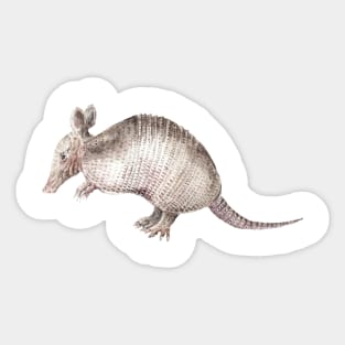 Armadillo Watercolor Sticker